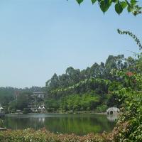 三水荷花世界17316