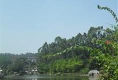 三水荷花世界：中华鲟锦鲤观赏池