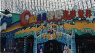 武汉海昌极地海洋世界怎么玩？附游玩路线