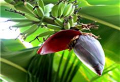 秦皇岛集发生态农业观光园怎么玩？附游玩路线