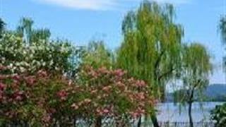 杭州西湖风景名胜区：六公园