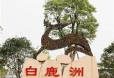 温州白鹿洲公园怎么玩？附游玩路线