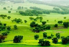 武汉木兰草原风景区怎么玩？附游玩路线