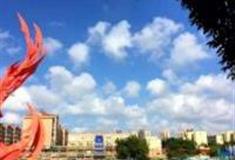 青岛利客来李村公园怎么玩？附游玩路线