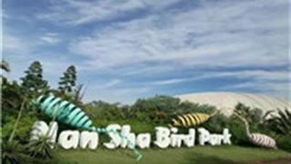 广州南沙水鸟世界生态公园怎么玩？附游玩路线