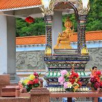 大雁山风景区18443