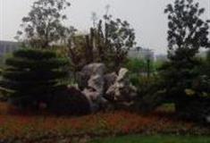 上海广兰公园怎么玩？附游玩路线