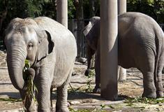 上海动物园怎么玩？附游玩路线