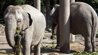 上海动物园怎么玩？附游玩路线