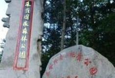 西安朱雀国家森林公园怎么玩？附游玩路线