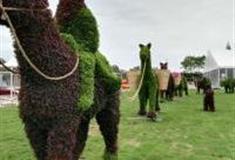 上海上农嘉年华怎么玩？附游玩路线