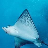 江苏张家港梦幻海洋王国19677