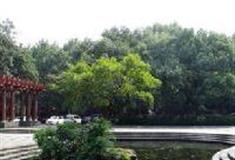 杭州西湖风景名胜区：罗马广场