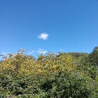 拉市海湿地公园19318