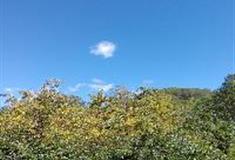 拉市海湿地公园：花果山