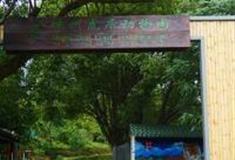 绍兴虎居动物园怎么玩？附游玩路线