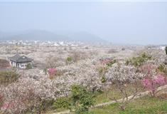 苏州西山林屋洞景区怎么玩？附游玩路线