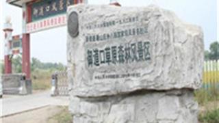 承德御道口草原森林风景区怎么玩？附游玩路线