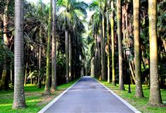 广州中国科学院华南植物园怎么玩？附游玩路线