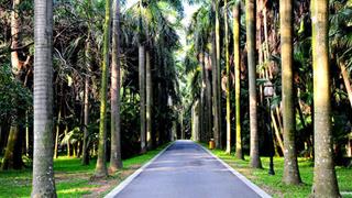 广州中国科学院华南植物园怎么玩？附游玩路线