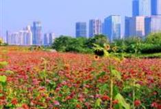 福州花海公园怎么玩？附游玩路线