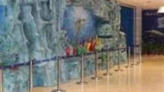 安庆海洋世界怎么玩？附游玩路线