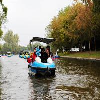 上海共青国家森林公园17711