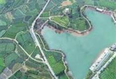 丽水大木山茶园景区怎么玩？附游玩路线