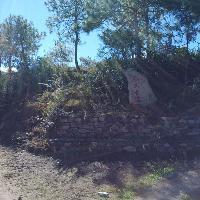 拉市海湿地公园19308