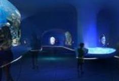 深圳欢乐海岸-海洋奇梦馆怎么玩？附游玩路线