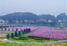 广州大埔围村怎么玩？附游玩路线