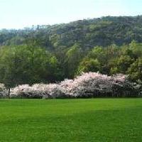 杭州西湖风景名胜区南屏山