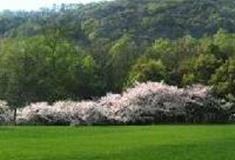 杭州西湖风景名胜区：南屏山