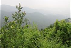 苏州西山景区怎么玩？附游玩路线