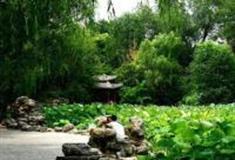 西安莲湖公园怎么玩？附游玩路线