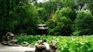 西安莲湖公园怎么玩？附游玩路线