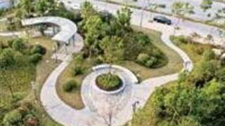 烟台海阳市植物园怎么玩？附游玩路线