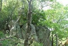 白马尖：四象石