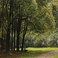 上海共青国家森林公园17713