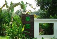 中国科学院华南植物园：姜园