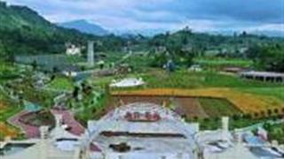 达州米岩花海怎么玩？附游玩路线