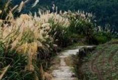 温州西山岭古道怎么玩？附游玩路线