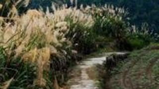 温州西山岭古道怎么玩？附游玩路线