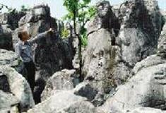 中泰天心佛文化旅游区：石林