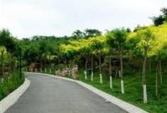 石家庄南高基公园怎么玩？附游玩路线