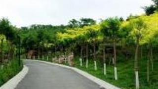 石家庄南高基公园怎么玩？附游玩路线