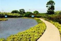 苏州丹桂园主题公园怎么玩？附游玩路线