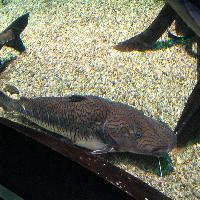 江苏张家港梦幻海洋王国19669