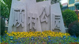 上海顾村公园怎么玩？附游玩路线