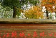 杭州钱江新城森林公园怎么玩？附游玩路线